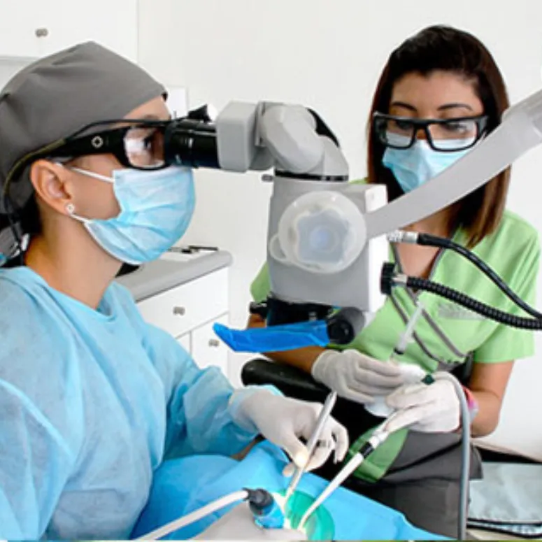 Microscopic Root Canal